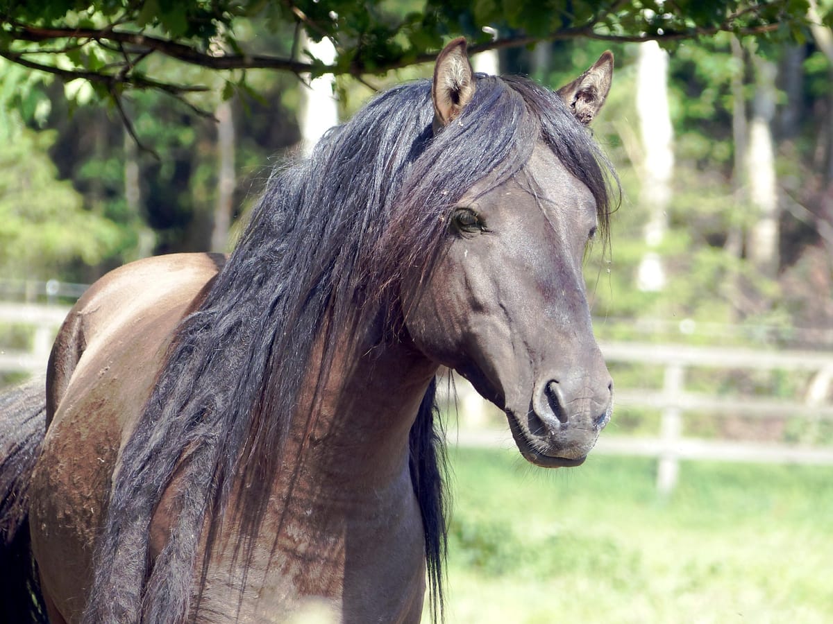 Hard Truths About Building Products